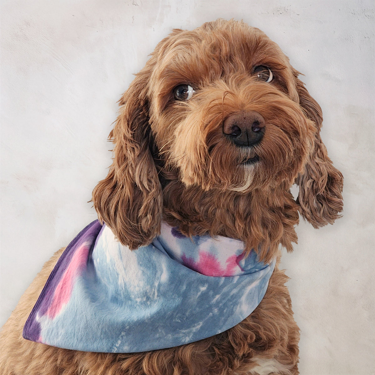 Quiet Solstice Tie Dye Bandana