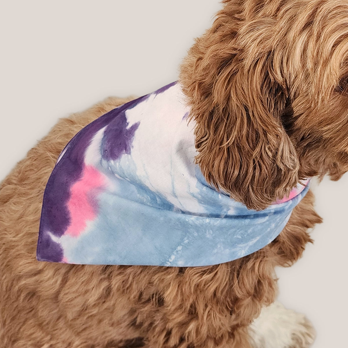 Quiet Solstice Tie Dye Bandana