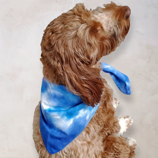 Kodiak Island Tie Dye Dog Bandana