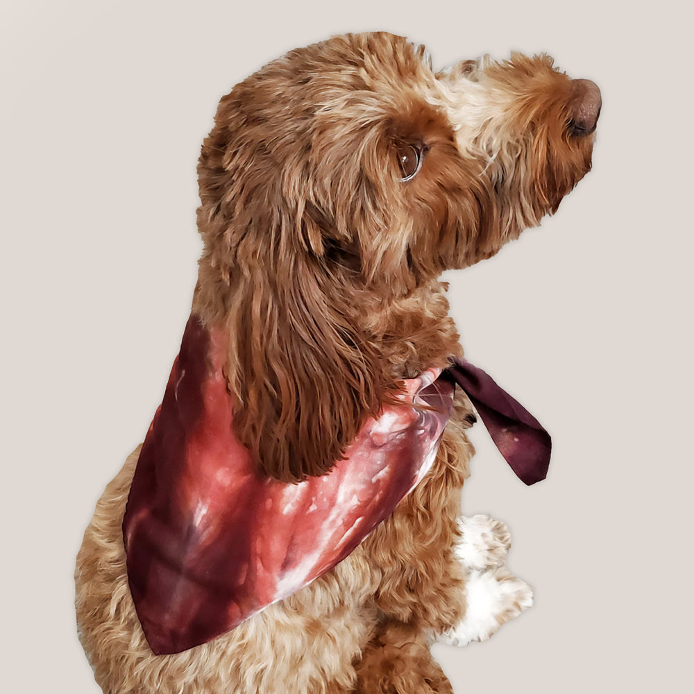 A dog modeling our tie dye dog bandana in rust orange and brown.