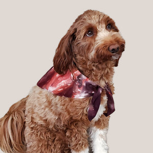 A dog modeling our tie dye dog bandana in rust orange and brown.