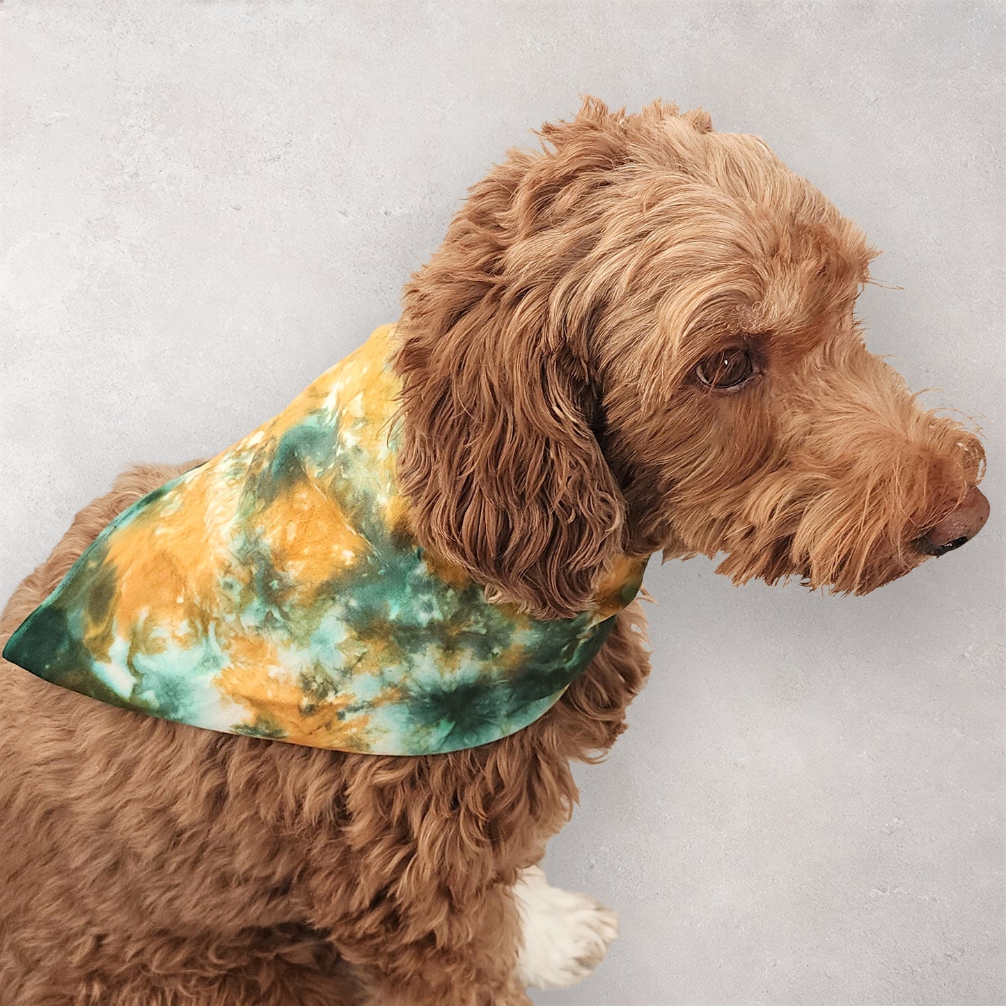 Forest Ember Tie Dye Bandana