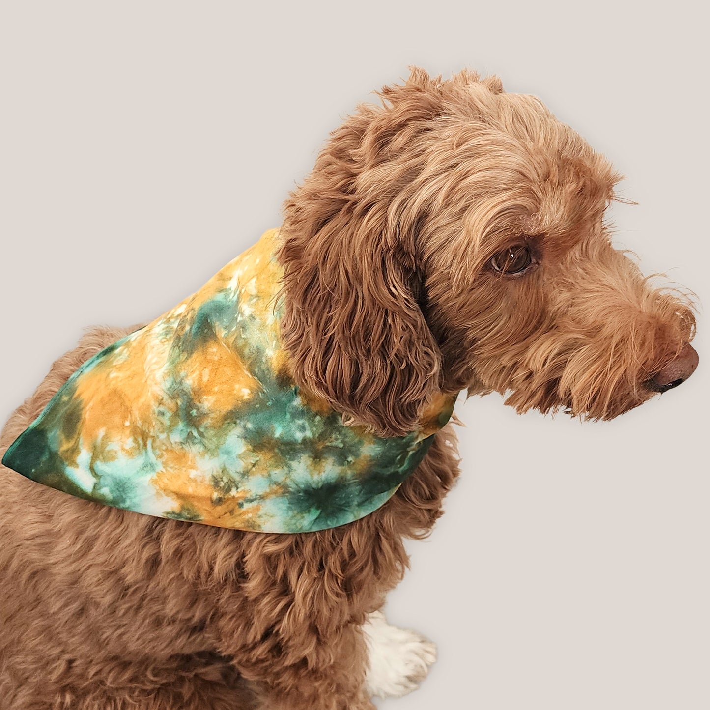 Forest Ember Tie Dye Bandana