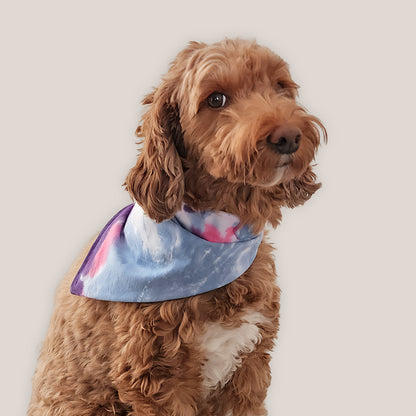 Quiet Solstice Tie Dye Bandana