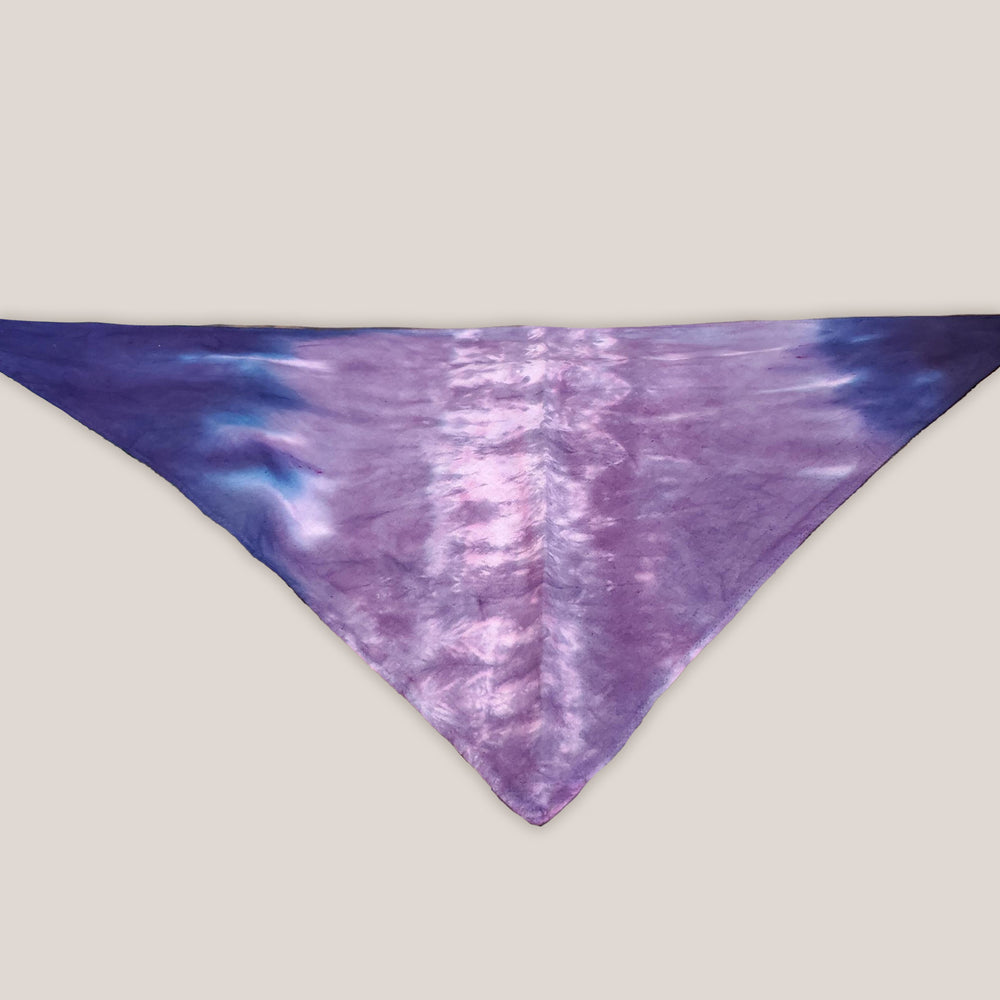 A dog modeling our tie dye dog bandana in purple.