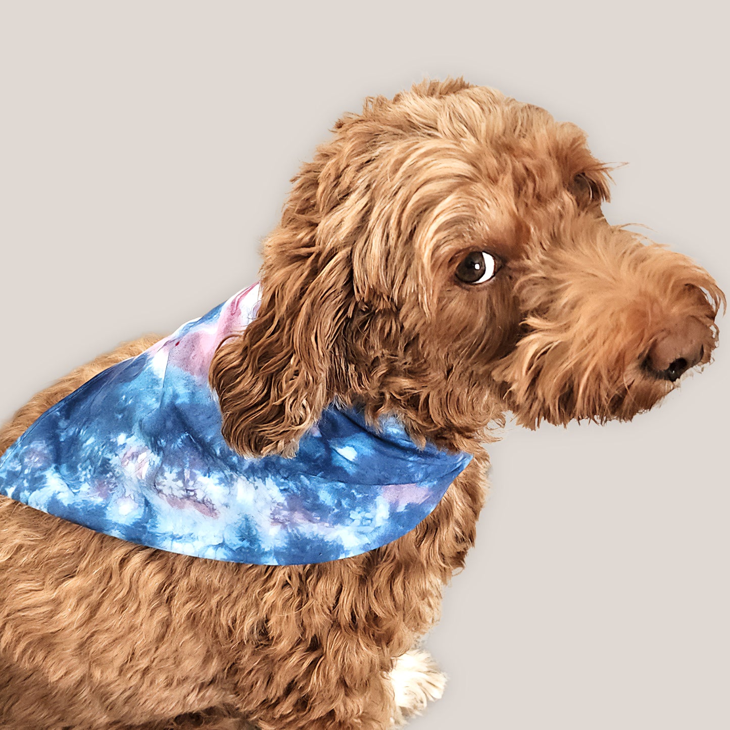 Third Eye Tie Dye Bandana