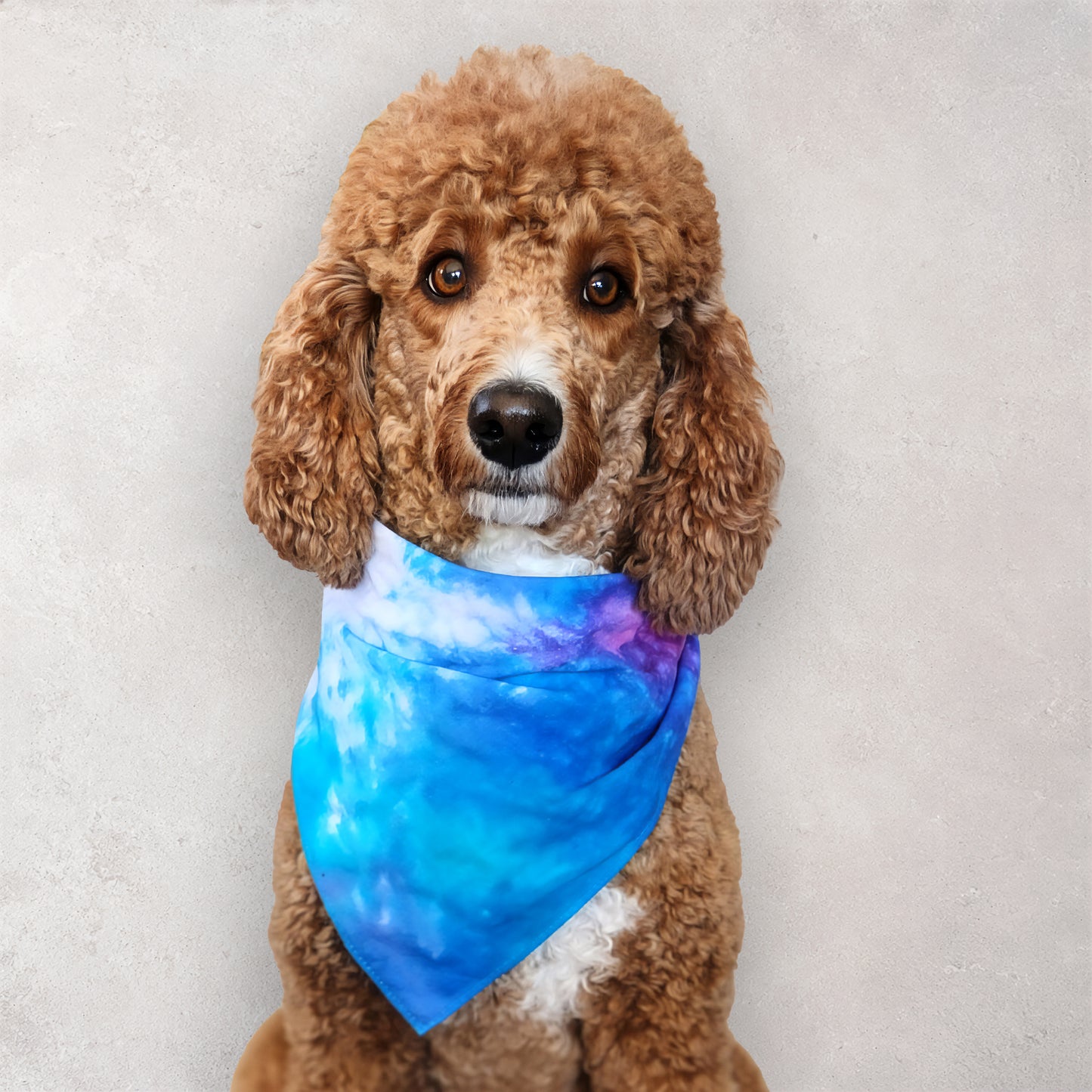 Wisteria Mist Tie Dye Bandana
