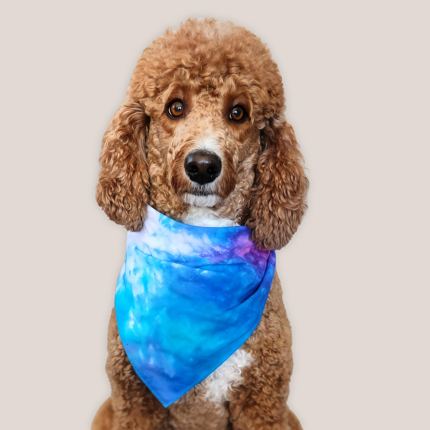 Wisteria Mist Tie Dye Bandana