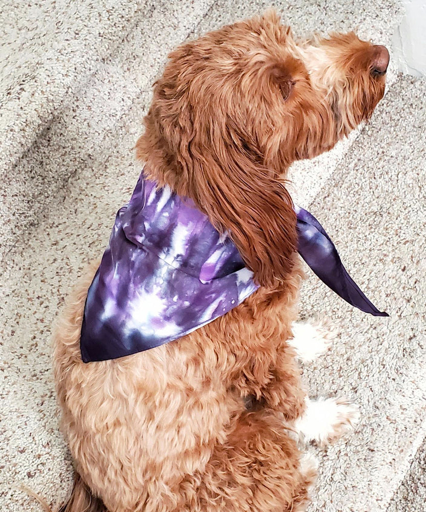 A dog modeling a tie dye dog bandana in the colors purple and black.