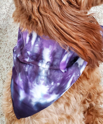 A dog modeling a tie dye dog bandana in the colors purple and black.