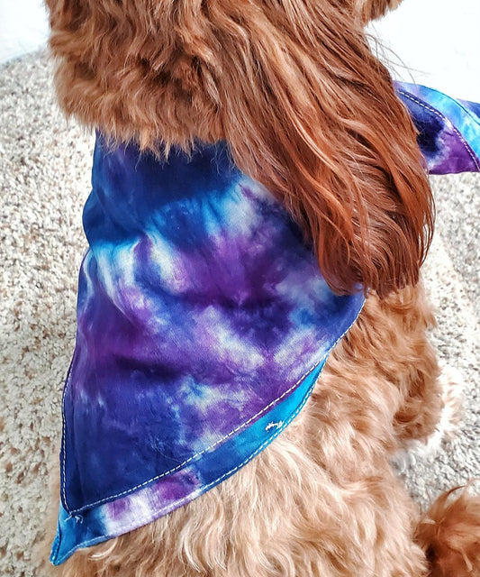 A dog modeling our tie dye bandana in blue and purple.