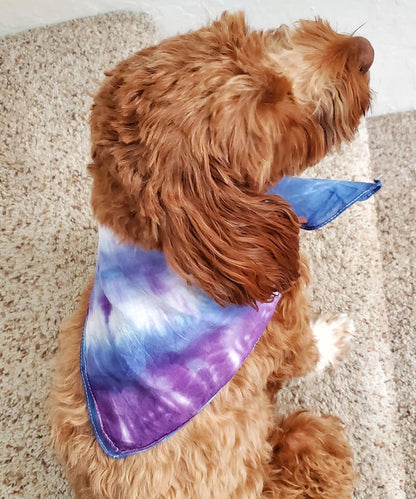 A dog modeling our tie dye bandana in blue and purple.